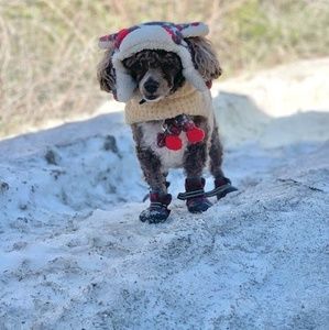 Meet your Posher, Vicky